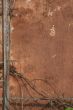 grunge background of old wall and branches