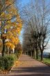 Autumn alley