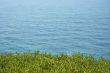 background of sea and grass