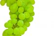 white grape detail isolated on white