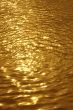 golden wavelet