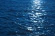 blue wavelets
