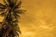 sunset beach
