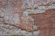 old brick wall