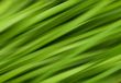 green abstract