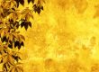 yellow floral background
