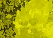 green floral background