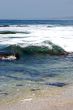 wave