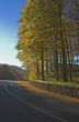 autumn road