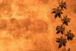 yellow floral background