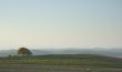 tuscan landscape