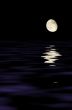 moon reflecting in the water