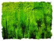 Abstract Background frame