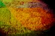 Great for textures and backgrounds