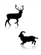  Deer and got silhouettes,shapes,vector