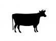 cow silhouette