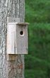 Birdhouse on Tree