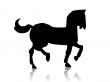 horse silhouette