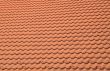 orange roof background