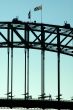 walking harbour bridge