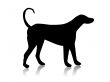 Black dog silhouette,shape,vector,p et