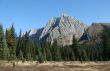 Mountain & spruce forest