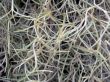 abstract texture