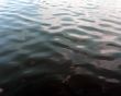 abstract texture - water ripples
