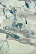 Detail. Glacier icefall