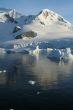 Glaciated mountain, reflected in ocean mirror,