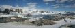 Panorama - penguin colonies, cruise ship