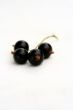 currants Isolated in White