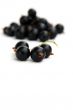 currants Isolated in White