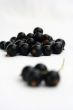 currants Isolated in White