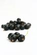 currants Isolated in White