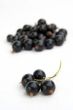 currants Isolated in White