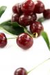 Red Cherry isolated in White Background