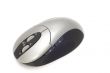 computer mouse