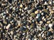 wet pebbles on the beach of the Black Sea2