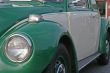 Green and Grey Bug