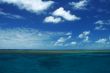 tropical water