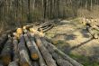 wooden logs