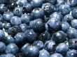 Blueberry Background