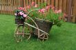 decorative garden pot