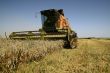Harvest time