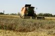 Combine harvester