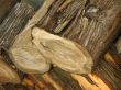 Firewood