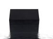 Black Box
