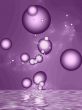 Purple bubbles