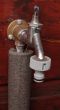 watertap